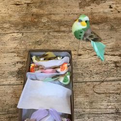 Petits Oiseaux Pack de 6 unités.