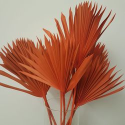 Palm Sun