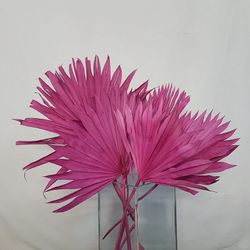 Palm Sun
