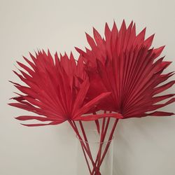 Palm Sun