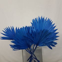 Palm Sun