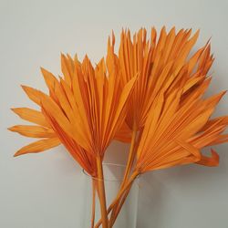 Palm Sun