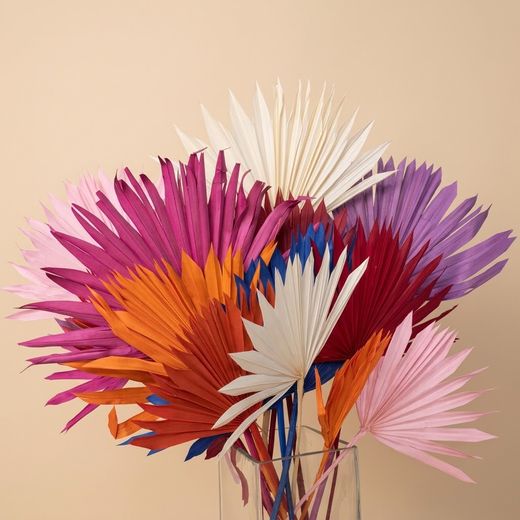 Soleil des palmiers
