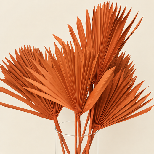 Palm Sun