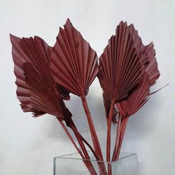 Palmito Corazón seco Palm Spear