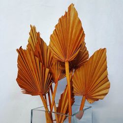 Palmito Corazón seco Palm Spear