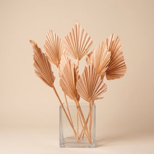 Palmito Corazón seco Palm Spear