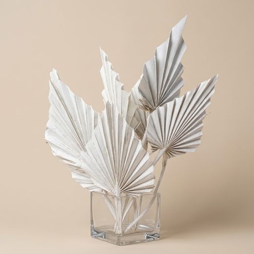 Palmito Corazón seco Palm Spear