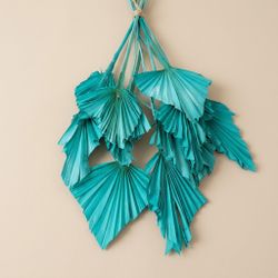 Palmito Corazón seco Palm Spear