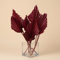 Palmito Corazón seco Palm Spear