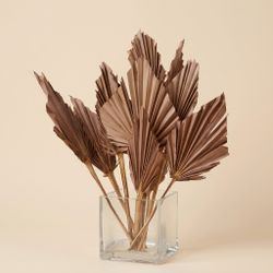 Palmito Corazón seco Palm Spear