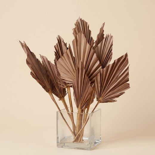 Palmito Corazón seco Palm Spear