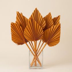 Palmito Corazón seco Palm Spear