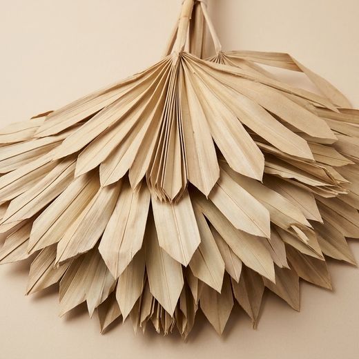 Palm Sun Naturel