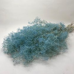 Gypsophila Paniculata Mini Preservada