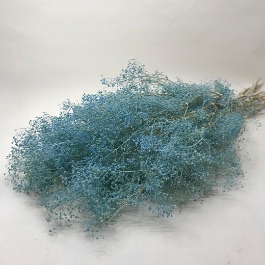 Gypsophila Paniculata Mini Preservada