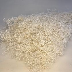 Gypsophila Paniculata Mini Preservada