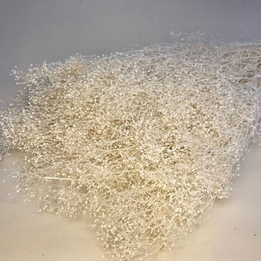 Gypsophila Paniculata Mini Preservada