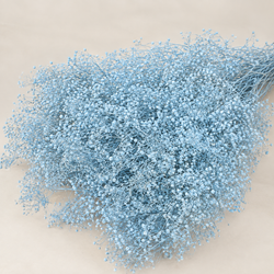 Gypsophila Paniculata Mini Preservada