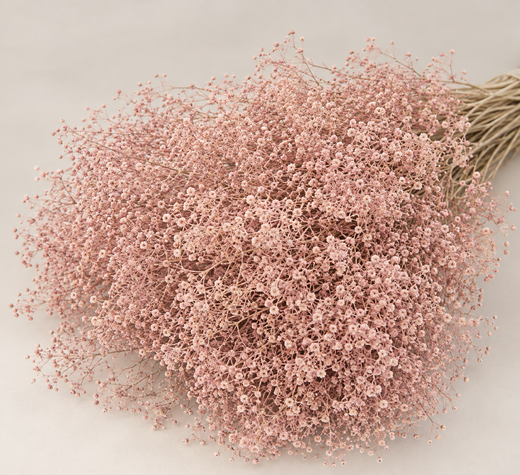 Gypsophila Paniculata Mini Preservada