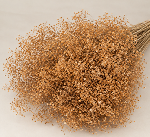 Gypsophila Paniculata Mini Preservada