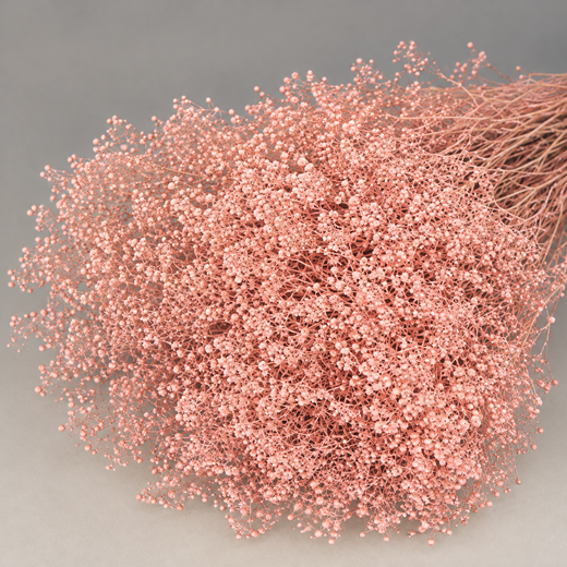 Gypsophila Paniculata Mini Preservada