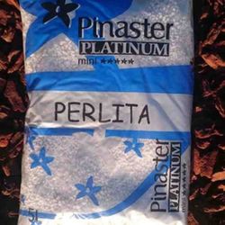 Perlita 5 litros