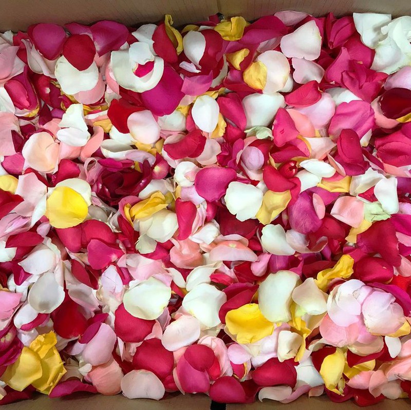 Pétalos de Rosas Naturales — Floresfrescasonline