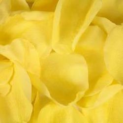 Pétalos de Rosas Naturales