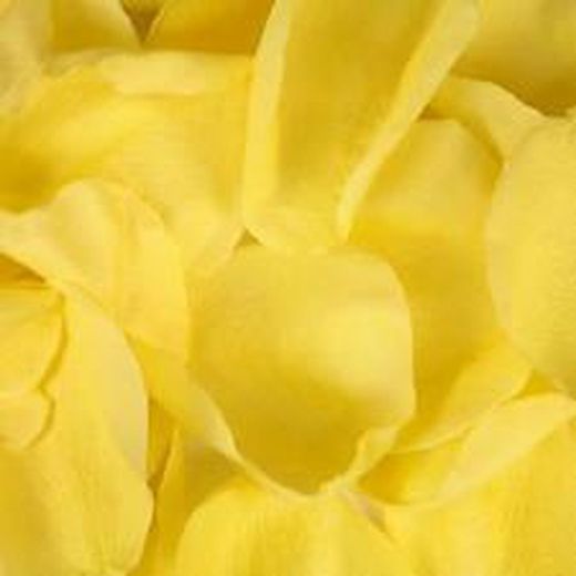 Pétalos de Rosas Naturales