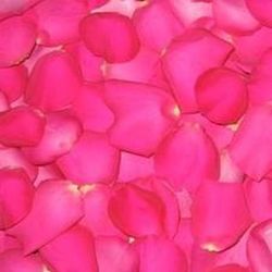 Pétalos de Rosas Naturales