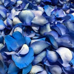 Pétalos de Rosas Naturales