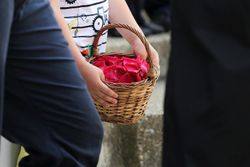 Pétalos de Rosas Preservadas
