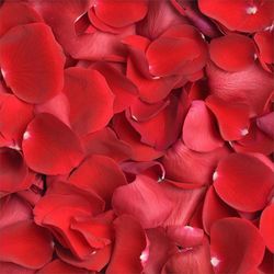 Pétalos de Rosas Preservadas