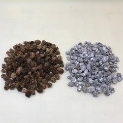 Pinyes Naturals Mini