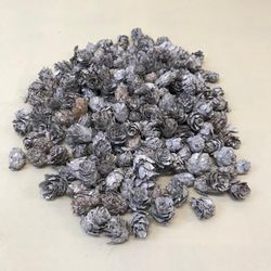 Pinyes Naturals Mini