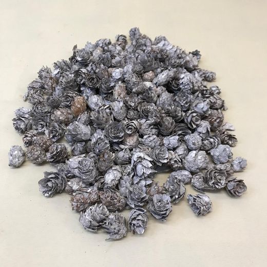 Pinyes Naturals Mini