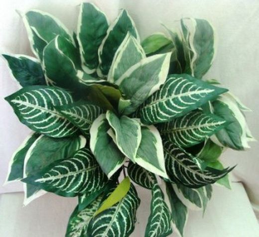 Plantes Artificials Interior