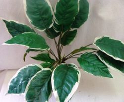 Plantes Artificials Interior