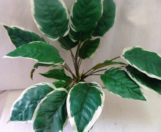 Plantes Artificials Interior