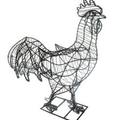 Pollastres i gallines