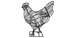 Pollastres i gallines