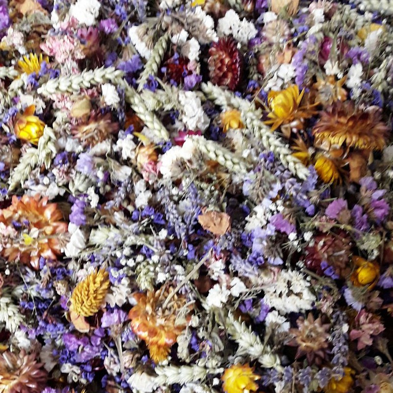 Misture as melhores flores secas para tigelas e decorações. — Flores  Frescas Online