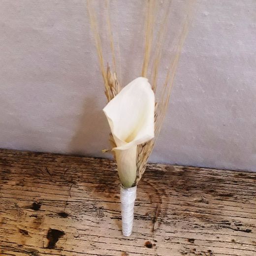 Prendidos Preservados