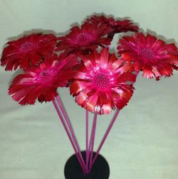 Proteas Naturales Secas Basi 10 flores
