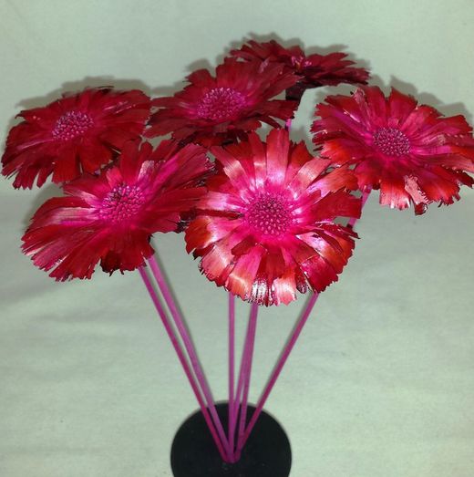 Proteas Naturales Secas Basi 10 flores