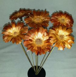 Proteas Naturales Secas Basi 10 flores