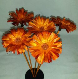 Proteas Naturales Secas Basi 10 flores