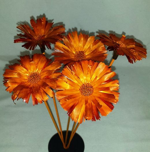 Proteas Naturales Secas Basi 10 flores
