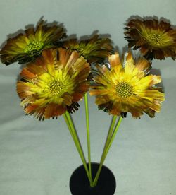 Proteas Naturales Secas Basi 10 flores